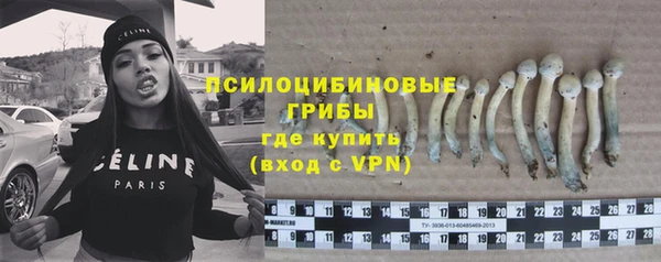 мдпв Бронницы