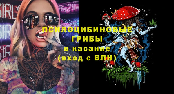 гашиш Бородино