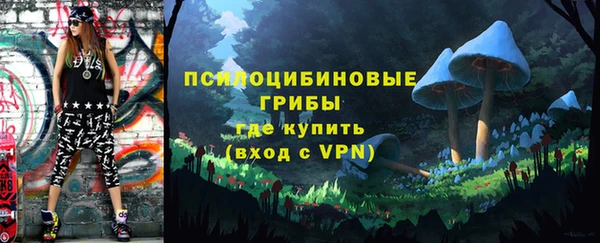 гашиш Бородино