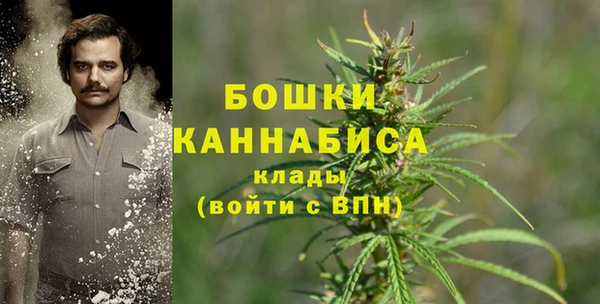 мдпв Бронницы